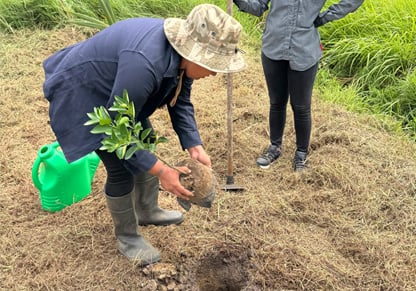 Intertek colleagues plants a tree in the sustainable garden. 