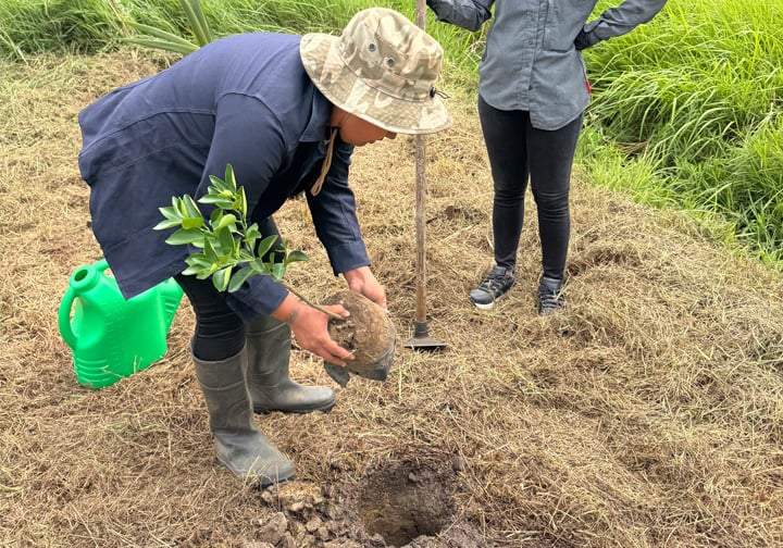 Intertek colleagues plants a tree in the sustainable garden. 