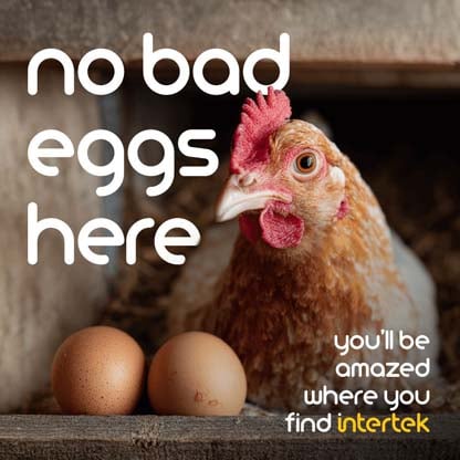 A chicken sitting next to a couple of eggs in a coop