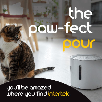 A housecat sitting next to an automated water dispenser