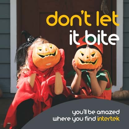Two children dressed in Halloween costumes holding carved pumpkins in front of their faces